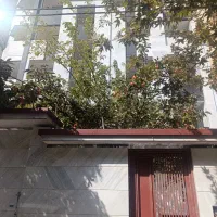 خرید-و-فروش-حرفه-ای