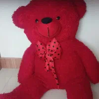 خرس ولنتاین