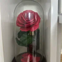 تابلو|تابلو، نقاشی، عکس|بندرعباس, |دیوار