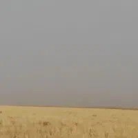 اجاره 10 هکتار زمین کشاورزی با چاه