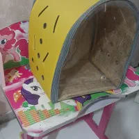کوله حمل پرنده و ....|لوازم جانبی حیوانات|اهواز, گلستان|دیوار