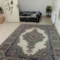 سوئیت  تمیز وبزرگ نزدیک مرکز شهر|اجارهٔ کوتاه‌مدت آپارتمان و سوئیت|قائم‌شهر, |دیوار