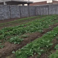 زمین مسکونی داخل بافت شهری  موقعیت کم‌تکرار