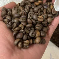 پخش44 قهوه عمده و جزئی و تجهیزات و انواع برند|عمده‌فروشی|مشهد, آزادشهر|دیوار