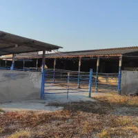 فروش دامداری صنعتی