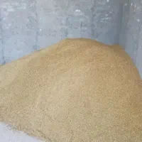 مقداری جو دیمه تمیز و چاق درجه یک