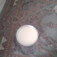 شیرگوسفندی