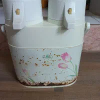 فلاکس ژاپنی