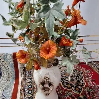 اگواریوم بالوازم برقی گل گلدون|ماهی|مشهد, ابوذر|دیوار