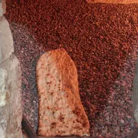 یک باب نونوایی باجواز وتجهیزات فروخته میشود