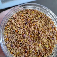 گرده گل هفت رنگ|خوردنی و آشامیدنی|تهران, فدک|دیوار