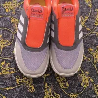 وسایل|ظروف سرو و پذیرایی|بیرجند, |دیوار