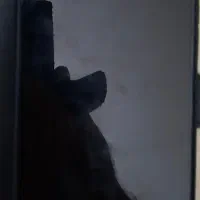گوشی هواوی y9s