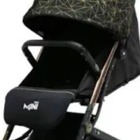 کالسکه مسافرتی مینی پرو دلیجان|کالسکه و لوازم جانبی|گالیکش, |دیوار