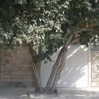 منزل-ویلایی-حاشیه-کوچه12متری-دوطبقه-مجزا-سندتکبرگ