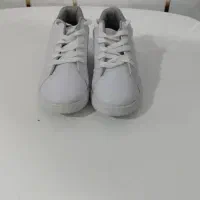 کفش اسپورت|کیف، کفش، کمربند|شیراز, پودنک|دیوار