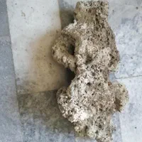 صخره مرجانی تصفیه شده مرده و نمک ابشور|ماهی|پردیس, فاز ۴|دیوار