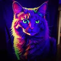 بکدراپ بلکلایت blacklight|تابلو، نقاشی، عکس|تهران, مرزداران|دیوار