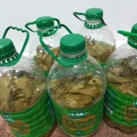 برگ مو وغیره....