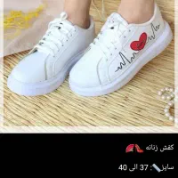 کفش اسپرت و مجلسی|کیف، کفش، کمربند|یاسوج, |دیوار