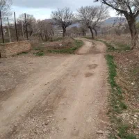 زمین باغی عقیل آباد