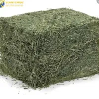 برداشت اول یونجه