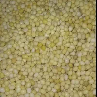 خاویار تازه