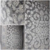 فرش افشان دودی|فرش|شیروان (خراسان), |دیوار