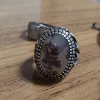 تعدادی انگشترنقره ،