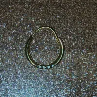 گوشواره گم شده