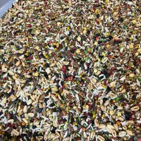 دان پرندگان (طوطی سانان کوچک جثه)|لوازم جانبی حیوانات|تهران, توحید|دیوار