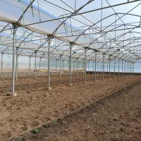 فروش گلخانه