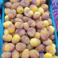رطب ناب آبادان