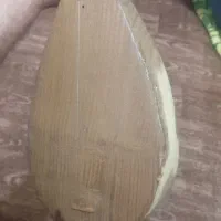 دوتار سالم نونو بدون استفاده