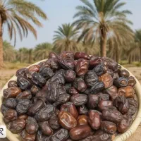 خرما کلوته