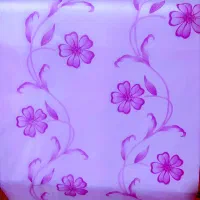 تولید و پخش سفره یک بار مصرف نورآباد ممسنی|سفره، حوله، دستمال آشپزخانه|نورآباد ممسنی, |دیوار