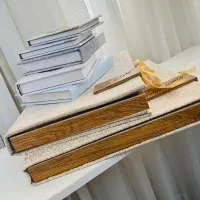 ادمین حضوری