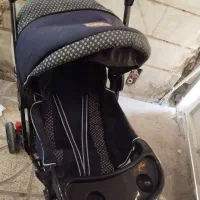 کالسکه|کالسکه و لوازم جانبی|باغستان, |دیوار