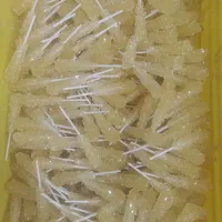 نبات چوبی زرد|خوردنی و آشامیدنی|اصفهان, پوریای ولی|دیوار