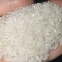 برنج طاروم کیلویی ۲۵۰ هزار