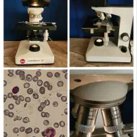 میکروسکوپ بیولوژی دو چشمی لایتس laborlux12