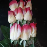 شاخه رز مصنوعی