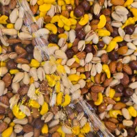 خشکبار عمده و خرده|خوردنی و آشامیدنی|شیراز, سینما سعدی|دیوار