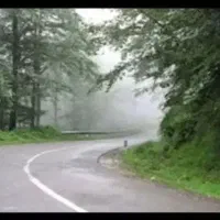 مسافرت به شمال