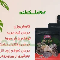 سیر سیاه فرآوری شده دکتر بیز|آرایشی، بهداشتی، درمانی|تهران, علم و صنعت|دیوار