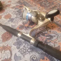 لنسر ماهی گیری