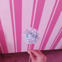 گل ربانی جذاب