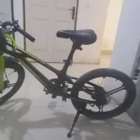دوچرخه  بیست