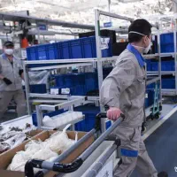 استخدام نیرو کاری در بخش های تولیدی