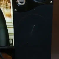 باند مکس سیدر